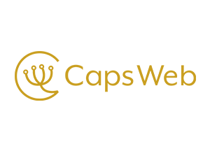 オンプレ型PACS Caps-Web